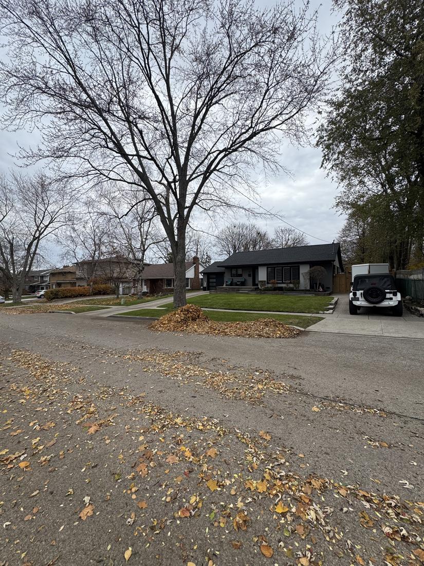 Front lawn cleared of leaves with the pile raked to the curb