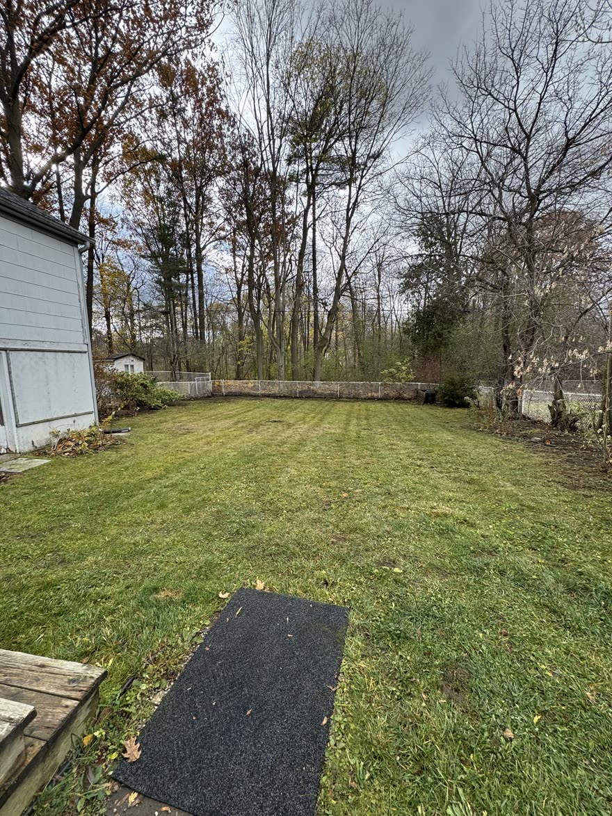 After: the same backyard cleared of leaves and cut in fresh stripes