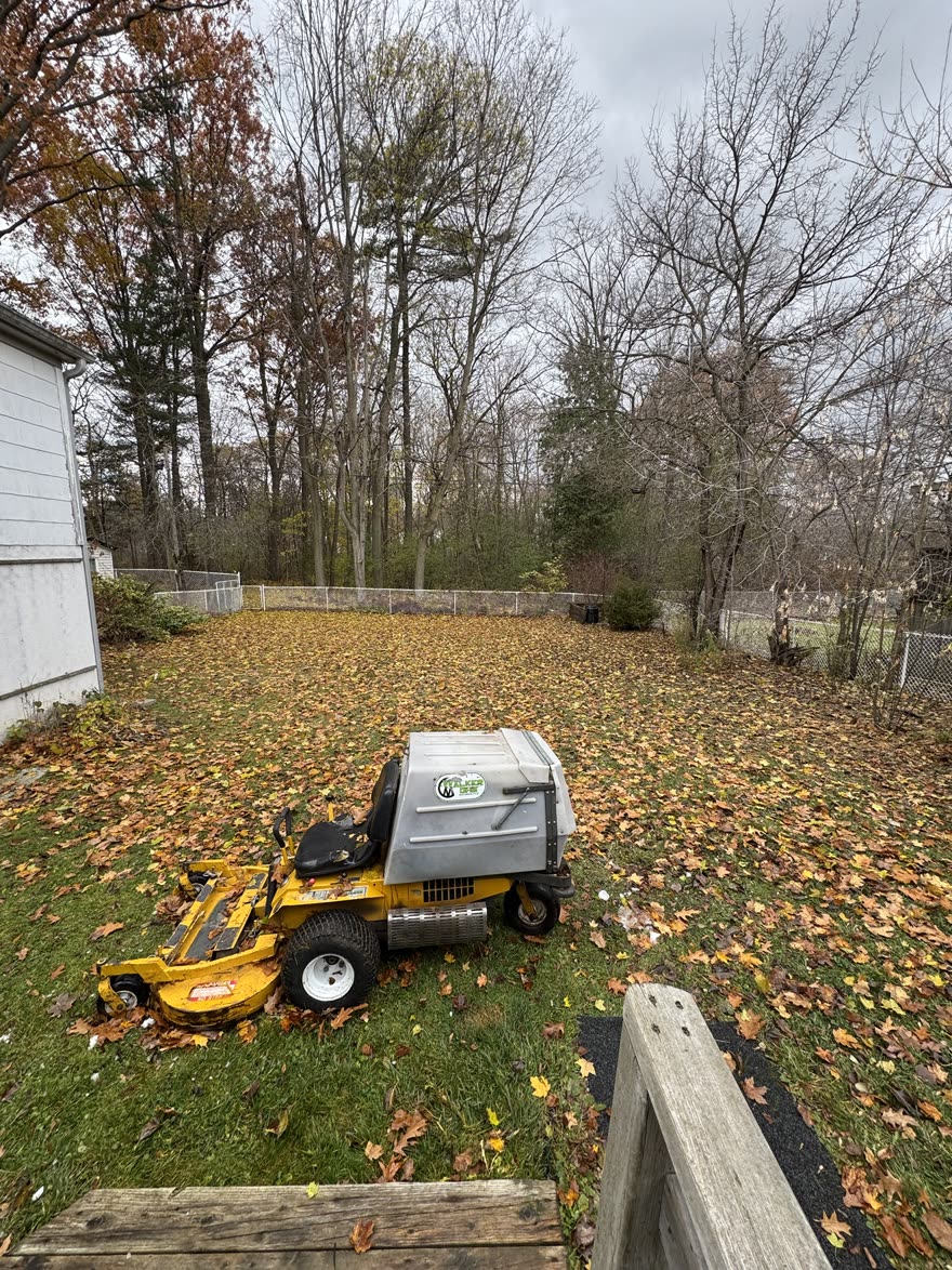 Before: backyard covered in fall leaves with a Walker mower and leaf collector ready to start
