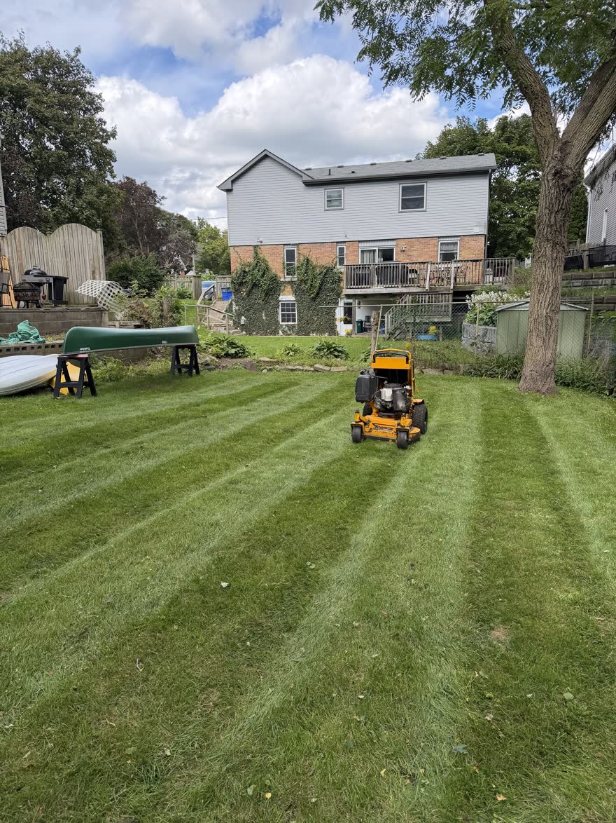Backyard behind a two-storey house cut in wide stripes with a yellow stand-on mower parked in the middle