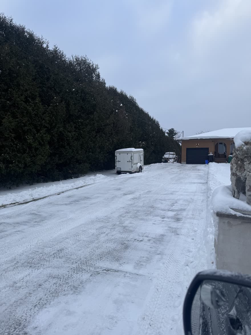 Long driveway along a tall cedar hedge, plowed out past a parked trailer to the garage